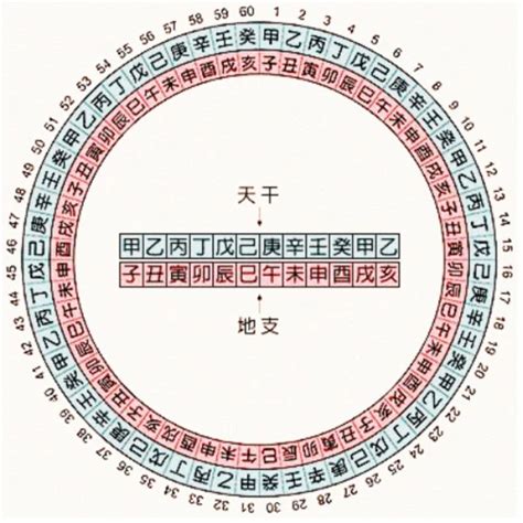 1992 天干地支|天干地支对照表